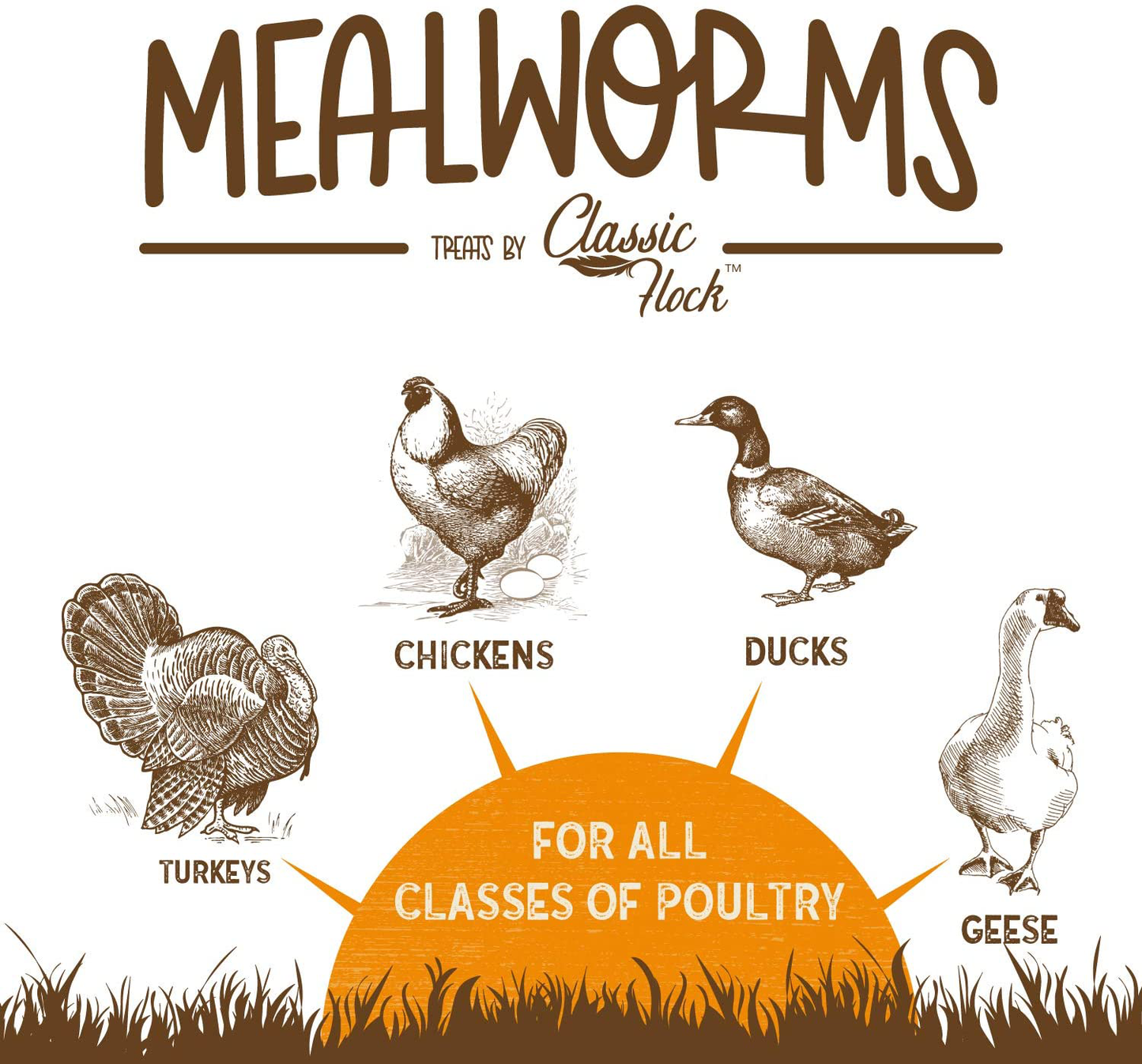 Classic Flock Dried Mealworms Animals & Pet Supplies > Pet Supplies > Reptile & Amphibian Supplies > Reptile & Amphibian Food Classic Flock   