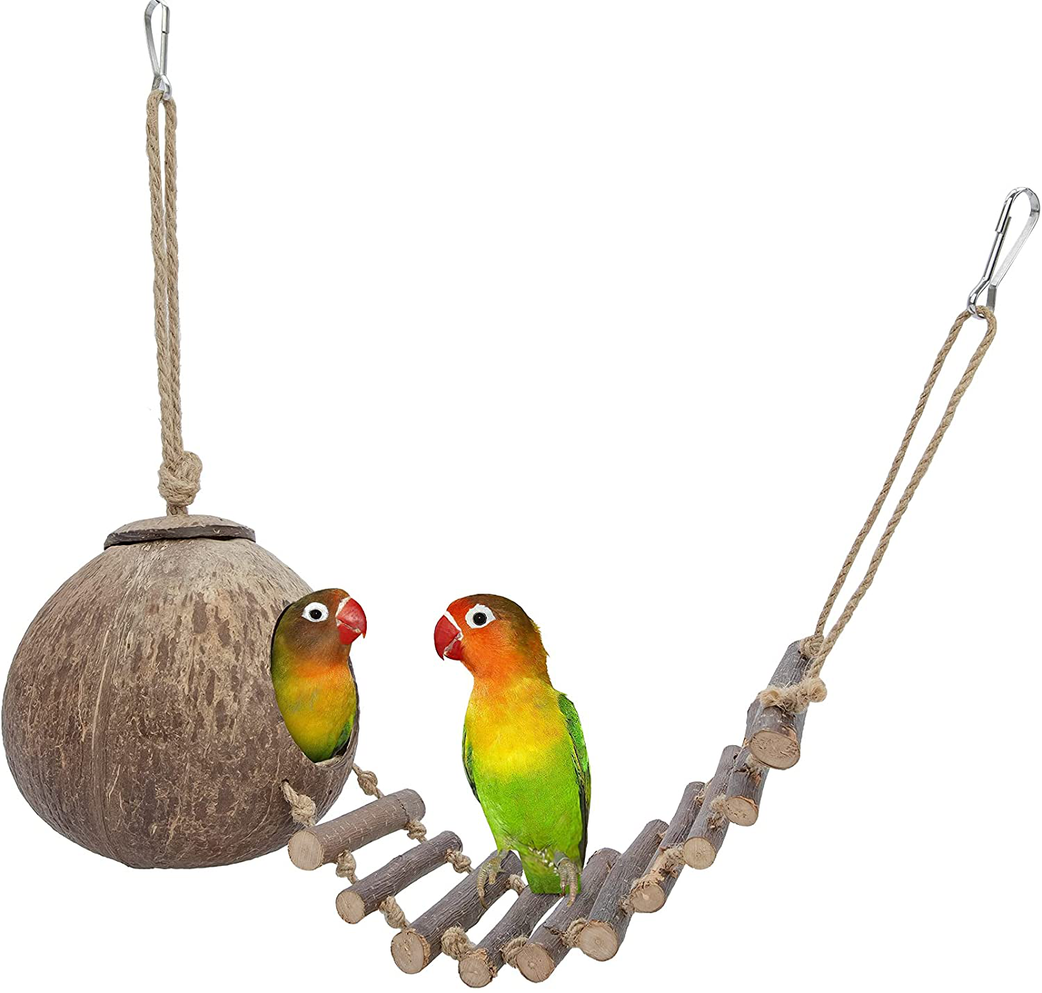 Niteangel 100% Natural Coconut Hideaway with Ladder, Bird and Small Animal Toy Animals & Pet Supplies > Pet Supplies > Bird Supplies > Bird Cage Accessories Niteangel Smooth Surface House with Ladder 