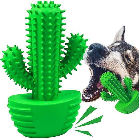 Dog Chew Toys Dog Toothbrush Stick Teeth Cleaning Brush Dental for Small Medium Large Dog, Rubber Dog Squeaky Toys for Aggressive Chewers Cactus Tough Toys Interactive for Training Cleaning Teeth Animals & Pet Supplies > Pet Supplies > Dog Supplies > Dog Toys Pamlulu Green L 