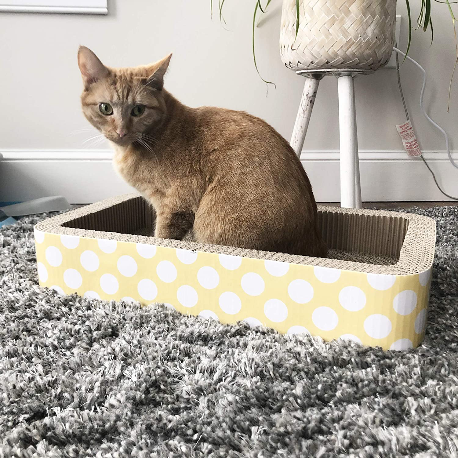 Petrageous 13079 Jerrys Rectangular Corrugated Cat Lounge Scratcher 20-Inch Long 12-Inch Wide 3.5-Inch Tall with Cat Nip Is Great for Cats, Yellow Dots Animals & Pet Supplies > Pet Supplies > Cat Supplies > Cat Beds PETRAGEOUS   
