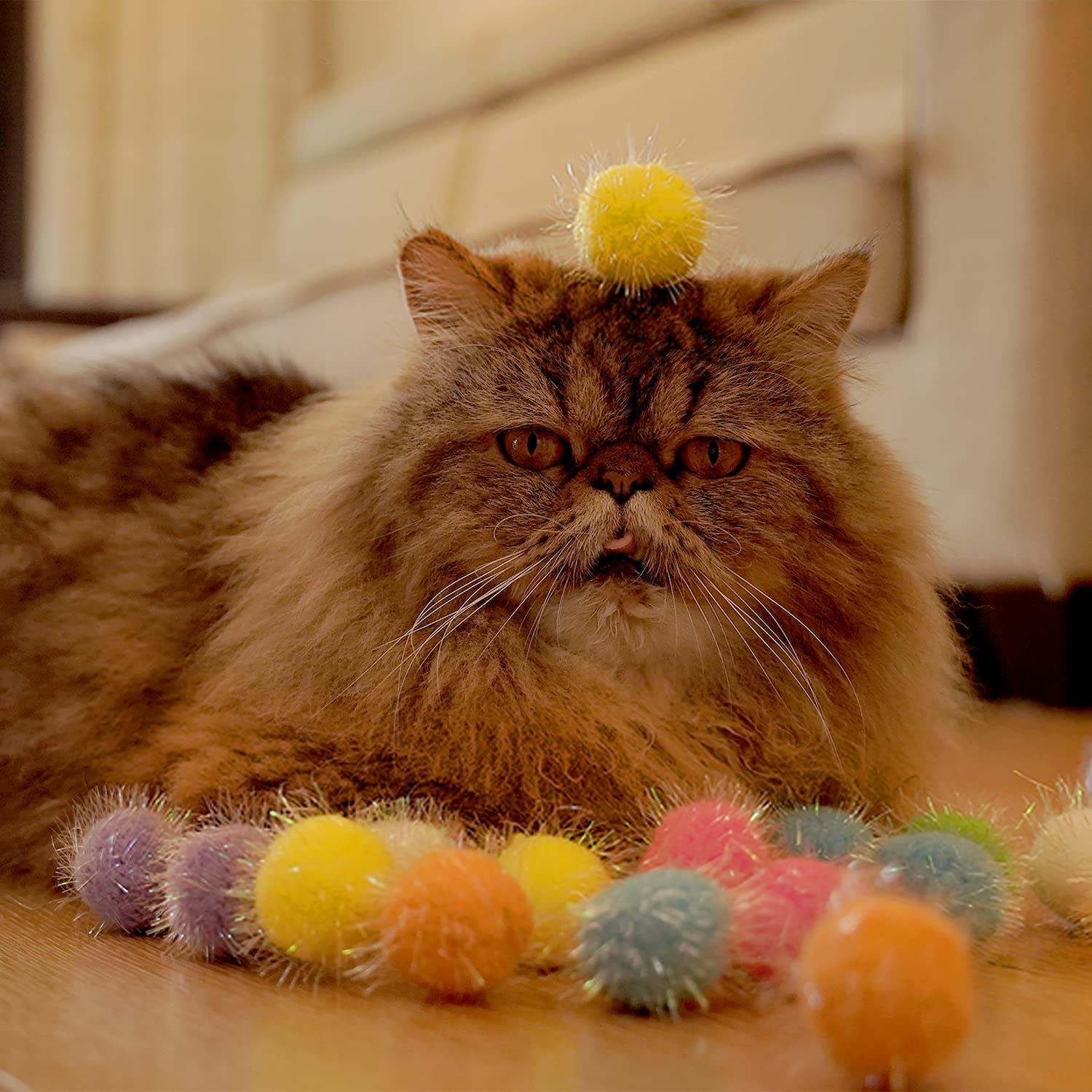  RIMOBUL 20PCS 1.5INCH Extra Large Cat's Favorite Chase Glitter  Ball Toy Sparkle Pom Pom Balls : Pet Supplies