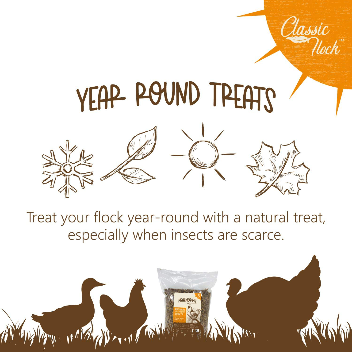 Classic Flock Dried Mealworms Animals & Pet Supplies > Pet Supplies > Reptile & Amphibian Supplies > Reptile & Amphibian Food Classic Flock   