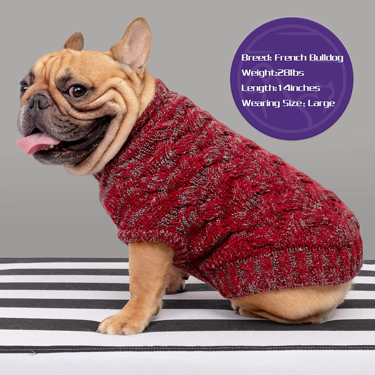 Cyeollo Dog Sweater Thickened Dog Sweaters Turtleneck Soft Pullover Knitwear Warm Winter Dog Clothes for Small Medium Dogs Animals & Pet Supplies > Pet Supplies > Cat Supplies > Cat Apparel cyeollo   