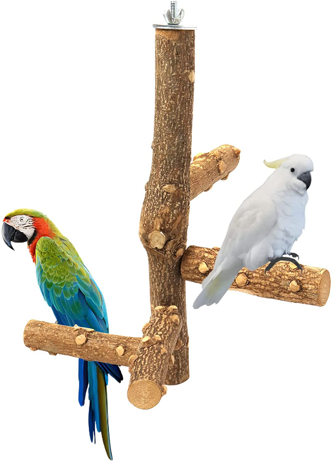 Anjmd Natural Wood Bird Perch Stand Bird Perch Stand Toy Hanging Multi Branch Perch Bird Cage Branch Perch Accessories for 3-4Pcs Small Medium Parrots,Parakeets Cockatiels,Conures,Macaws,Love Birds Animals & Pet Supplies > Pet Supplies > Bird Supplies > Bird Cage Accessories Anjmd   