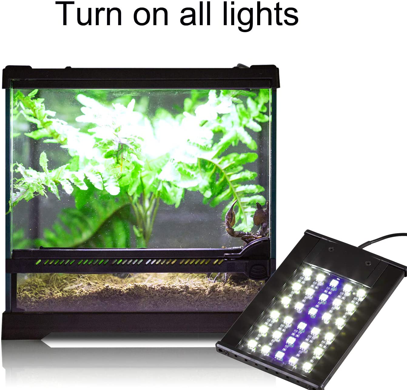 REPTI ZOO Terrarium Light Day and Night Mode Reptile LED Light Hood for Reptile Terrarium White Light and Blue Light Fit for Different Pet Habits