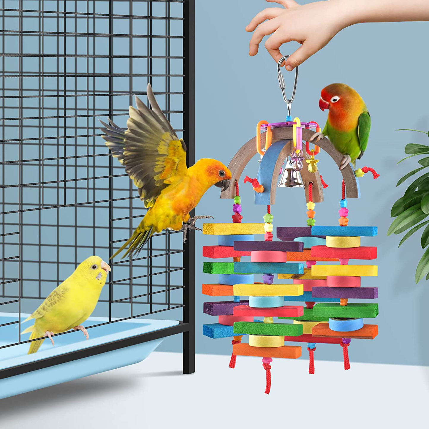 Bissap Cockatiel Toys, Wooden Blocks Bagel Cascade Bird Conure Chew Toy for Pets Cockatoo Parakeet Budgies Cockatiel Conure Lovebirds Cage Bite Jingle Bells Toy Animals & Pet Supplies > Pet Supplies > Bird Supplies > Bird Toys Bissap   