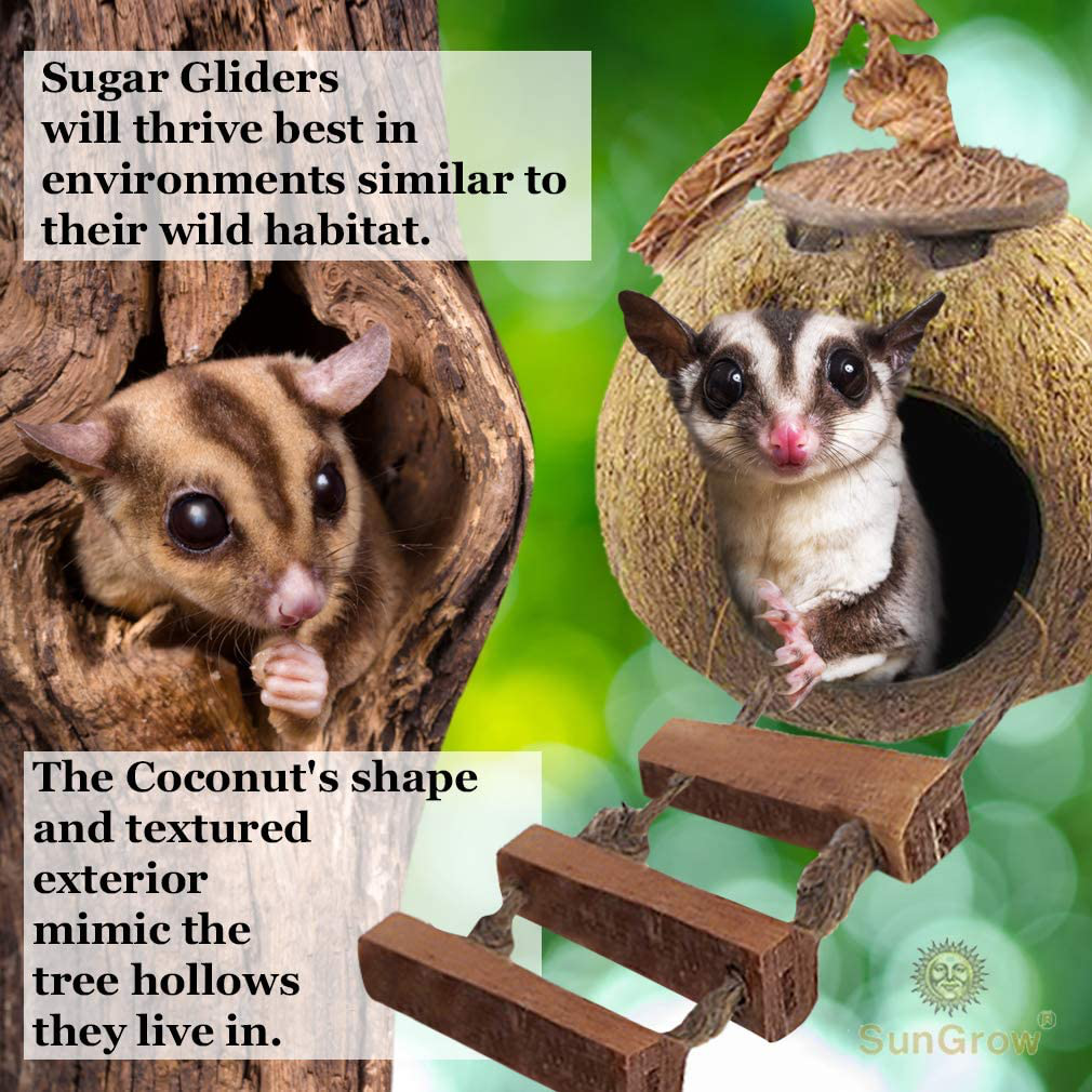 Sungrow Sugar Glider Squirrel Hut with Ladder, 5” Diameter, 2.5” Opening, Raw Coconut Husk Hide Animals & Pet Supplies > Pet Supplies > Small Animal Supplies > Small Animal Habitat Accessories Luffy Pets Collection   