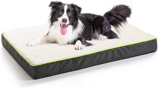 Hardy Buddy Oxford Egg Crate Foam Dog Bed for Small, Medium, Large Dogs, Thick Pet Bed Waterproof Mattress with Removable Washable Cover, Non-Slip Bottom Animals & Pet Supplies > Pet Supplies > Dog Supplies > Dog Beds Hardy Buddy White 30x20x4" 