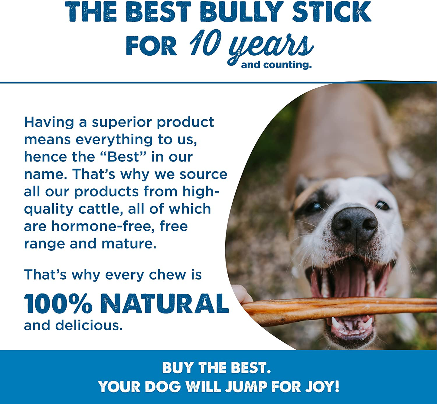 Best Bully Sticks All-Natural Bully Stick Dog Treats for Small, Medium, and Large Dogs