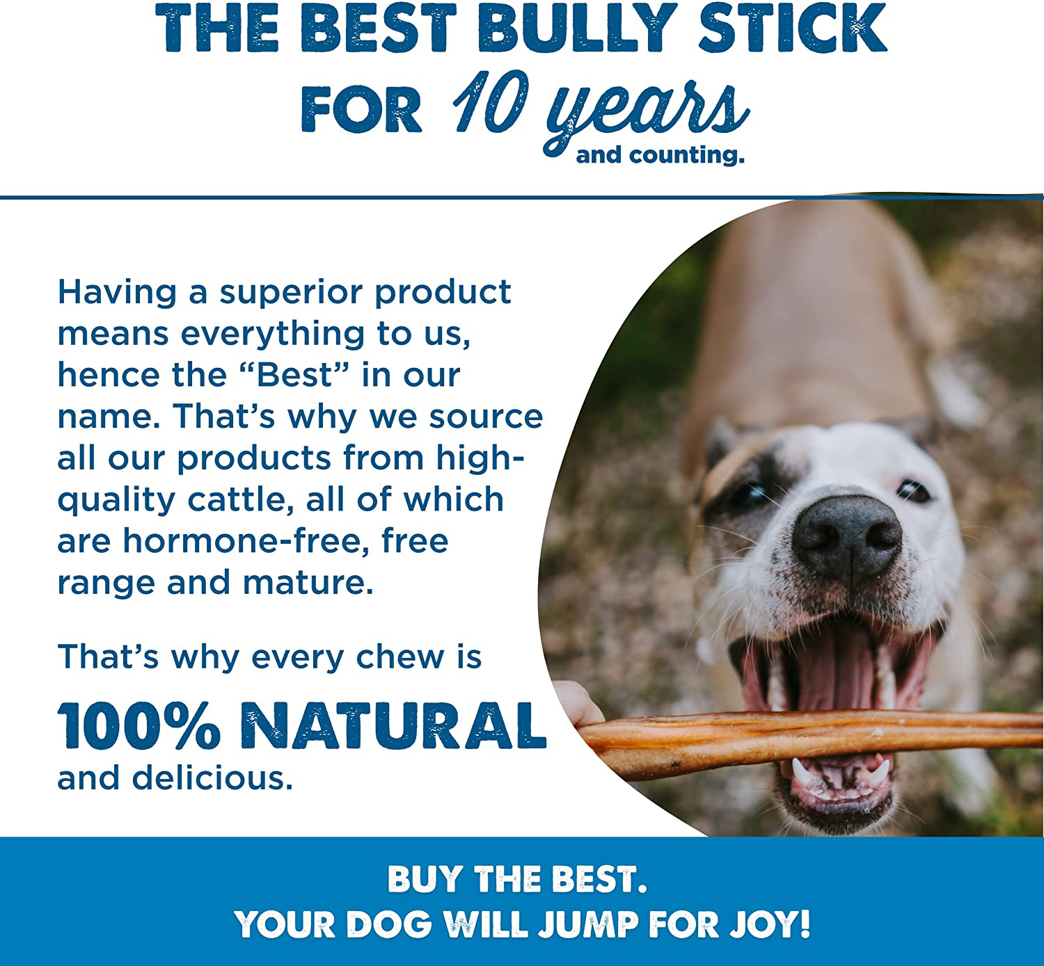 Best bully sticks for best sale large dogs