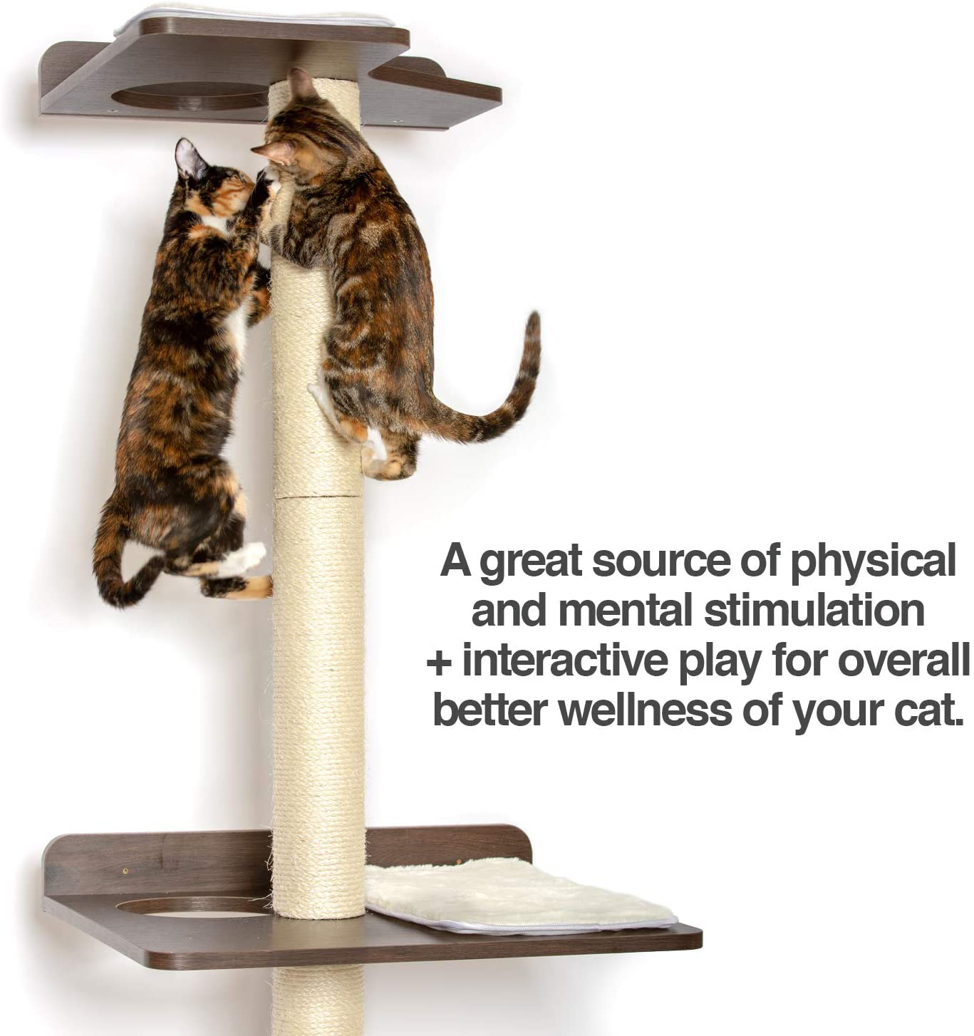 Petfusion Ultimate Cat Climbing Tower & Activity Tree. (24 X 20.8 X 76.8 Inches (Lwh) Tall Sisal Scratching Posts, Modern Wall Mounted Cat Furniture, Espresso Finish). 1 Year Manufacturer Warranty Animals & Pet Supplies > Pet Supplies > Cat Supplies > Cat Furniture PetFusion   