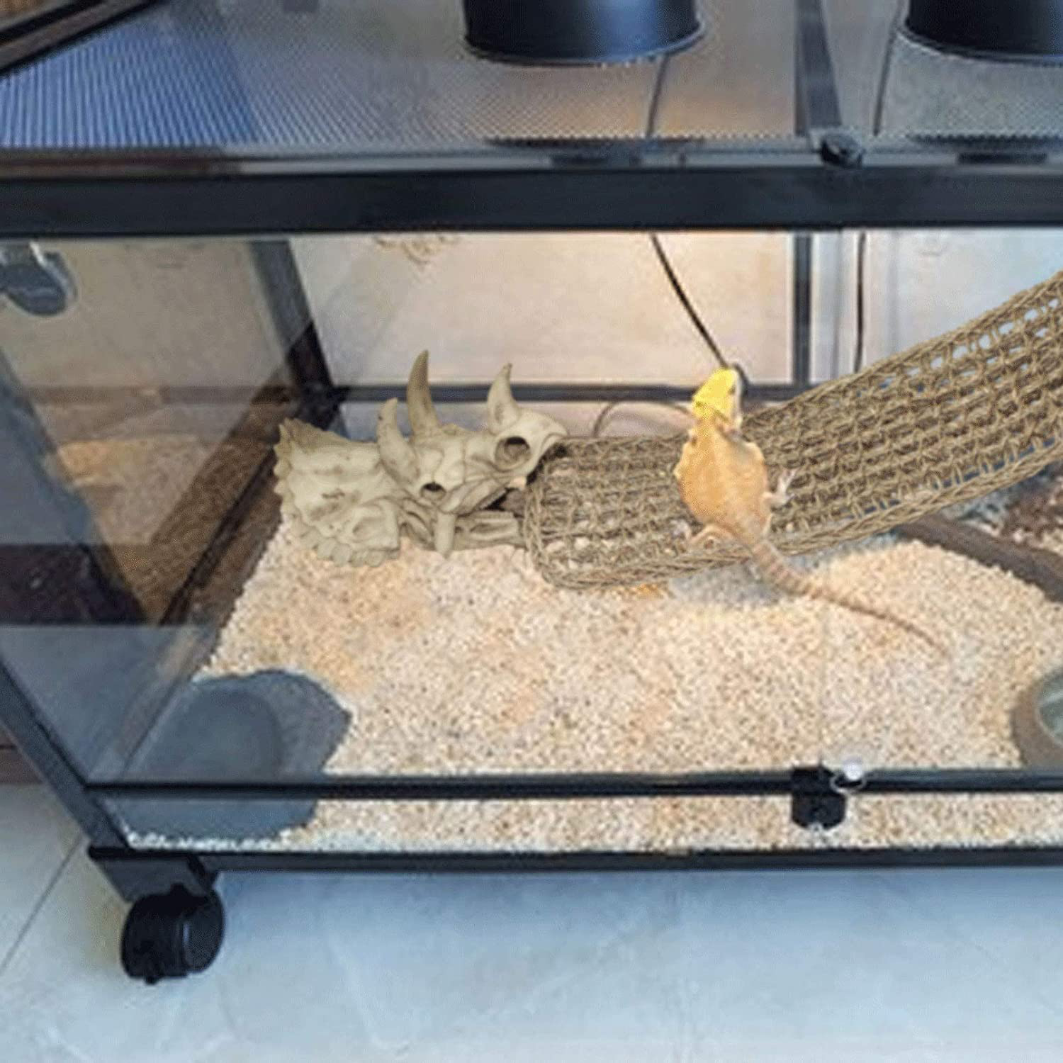 PINVNBY Reptiles Bearded Dragon Tank Accessories Resin Dinosaur Triceratops Skull Hide Amphibians Habitat Hammock Hideouts Cave Aquarium Decorations for Lizard Chameleon Snake Frog Spider Gecko Animals & Pet Supplies > Pet Supplies > Reptile & Amphibian Supplies > Reptile & Amphibian Habitat Accessories PINVNBY   