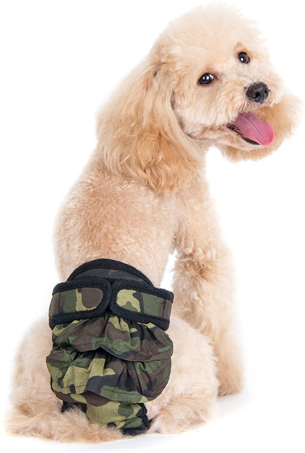 Alfie Pet - Maxine Diaper Dog Sanitary Pantie Animals & Pet Supplies > Pet Supplies > Dog Supplies > Dog Diaper Pads & Liners Alfie   