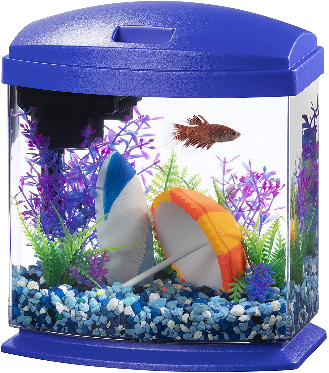 Aqueon LED Minibow Kit with Smartclean Technology Animals & Pet Supplies > Pet Supplies > Fish Supplies > Aquarium Fish Nets Aqueon Blue 1 Gallon (ECOM) 