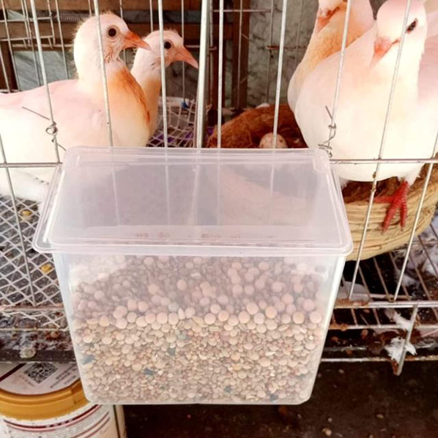 SRRPS PIGEON Automatic Pigeon Bird Feeder -Parrot Feeder Cage Accessories Supplies for Parakeet Canary Cockatiel Finch Animals & Pet Supplies > Pet Supplies > Bird Supplies > Bird Cage Accessories SRRPS PIGEON   