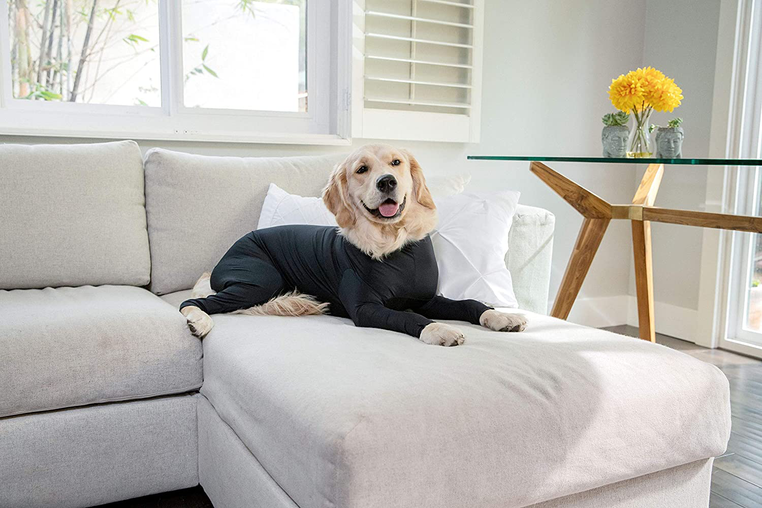 Shed Defender Original Dog Onesie - Seen on Shark Tank, Contains Shedding of Dog Hair for Home, Car, Travel, Anxiety Calming Shirt, Surgery Recovery Body Jumpsuit, E Collar Alternative
