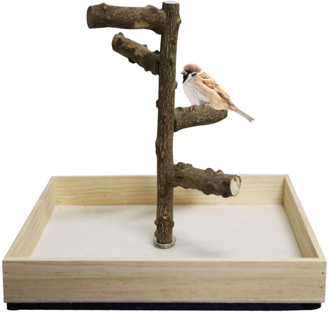 Hamiledyi Bird Perch Stand Tabletop,Parrot Playground Bird Gym Natural Wooden Perch Playstand Platform for Parrots Parakeets Canaries Cockatiels Conure Lovebirds Animals & Pet Supplies > Pet Supplies > Bird Supplies > Bird Gyms & Playstands Hamiledyi   