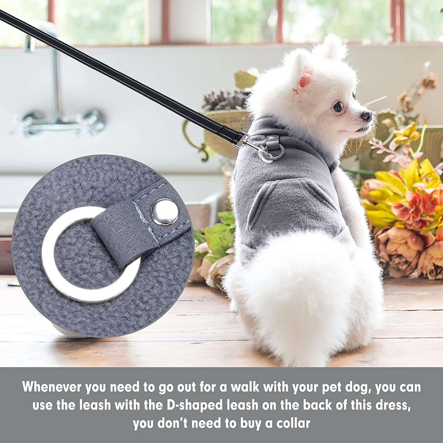 Expawlorer harness sales