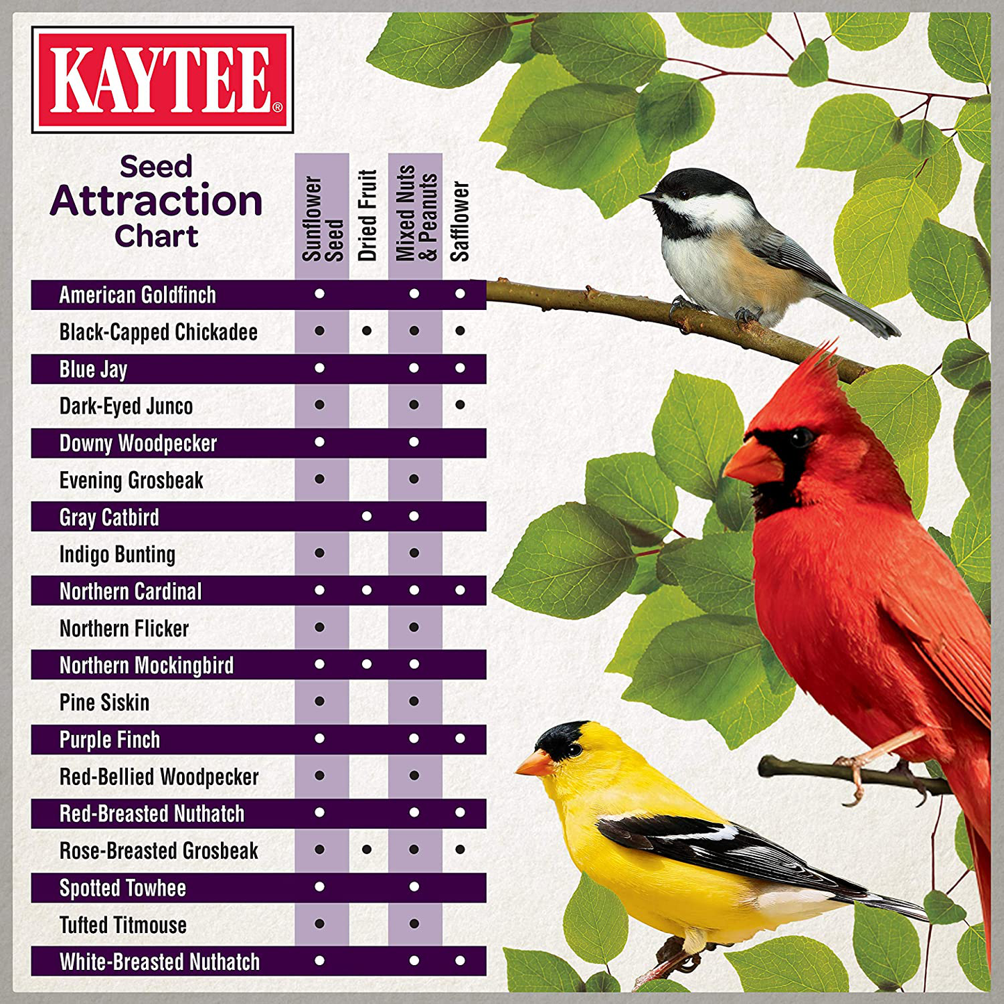 Kaytee Ultimate Nut and Fruit Bird Food, 9.75 Pounds Animals & Pet Supplies > Pet Supplies > Bird Supplies > Bird Food Kaytee   