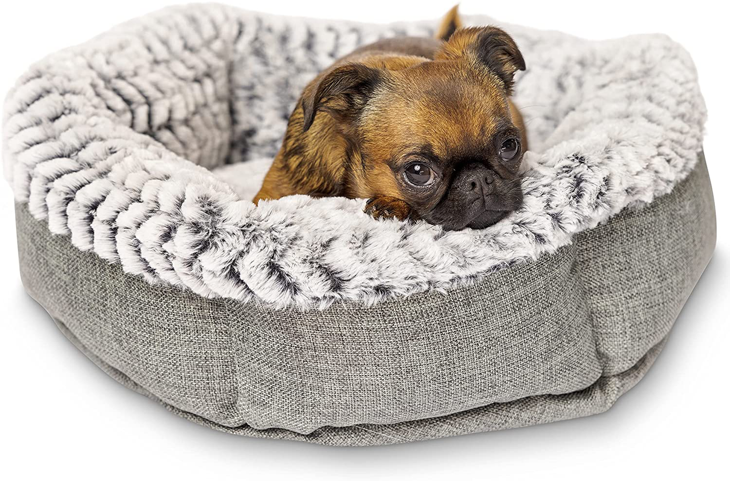 Pet Craft Supply Soho round Dog Bed for Small Dogs - Cat Bed for Indoor Cats | Ultra Soft Plush | Memory Foam | Machine Washable | Puppy Bed | Pet Bed | Calming Cat Bed | Calming Bed for Dogs Animals & Pet Supplies > Pet Supplies > Dog Supplies > Dog Beds Pet Craft Supply Grey Small 