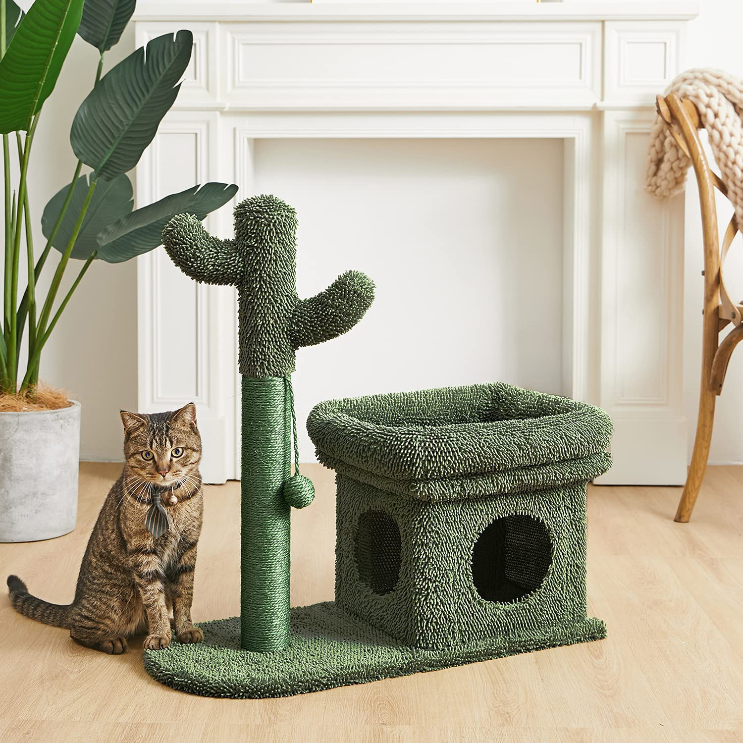 Catinsider 2 in 1 Cat Scratching Post Kitty Condo with Dangling Ball for Small Cats Green Animals & Pet Supplies > Pet Supplies > Cat Supplies > Cat Furniture Catinsider   