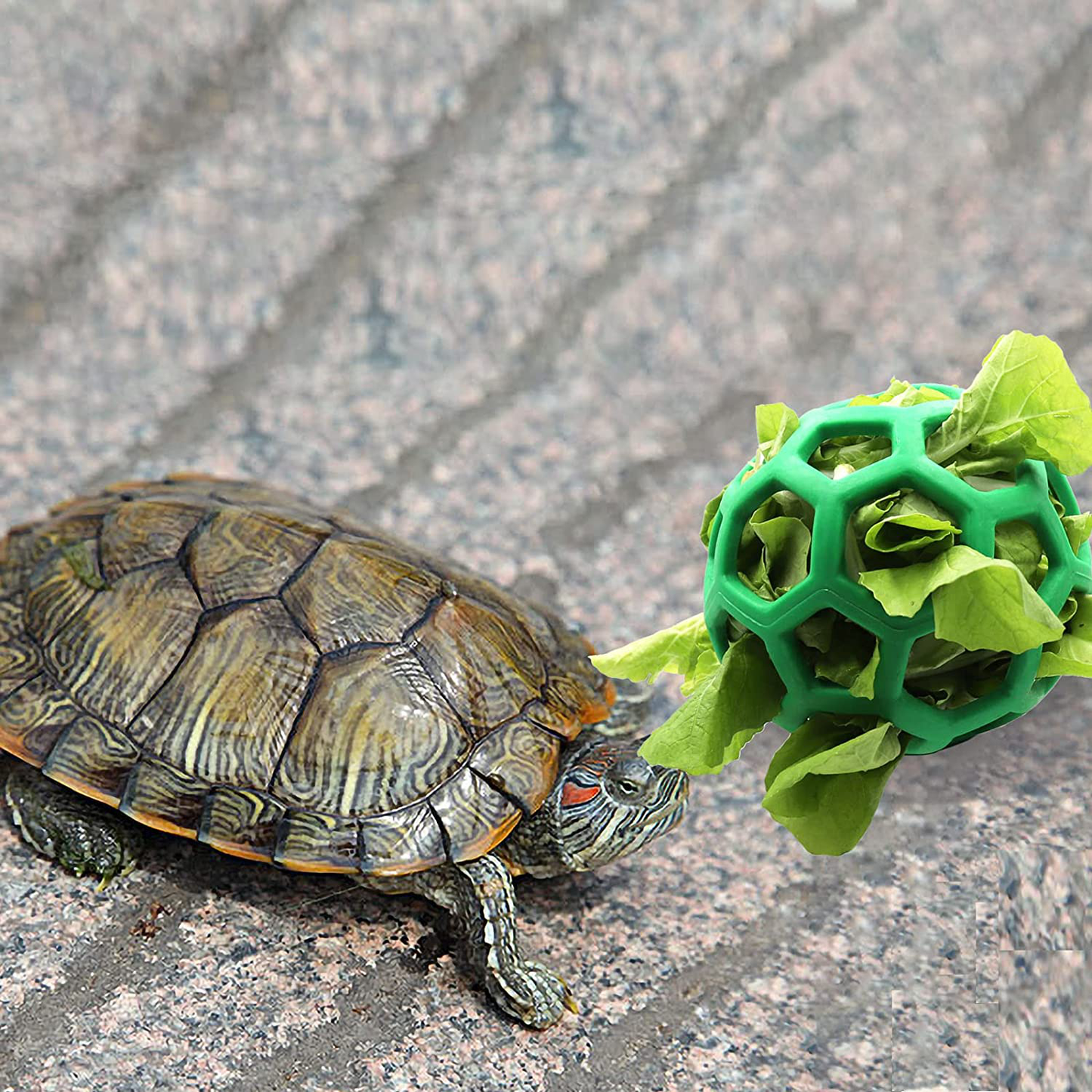 Tortoise Treat Ball Toy Hay Feeder Ball Hanging Feeding Grass Ball Fruit Vegetable Feeder Holder Foraging Toy for Small Animals Pet Tortoise Turtle Animals & Pet Supplies > Pet Supplies > Small Animal Supplies > Small Animal Habitat Accessories Tirifer   