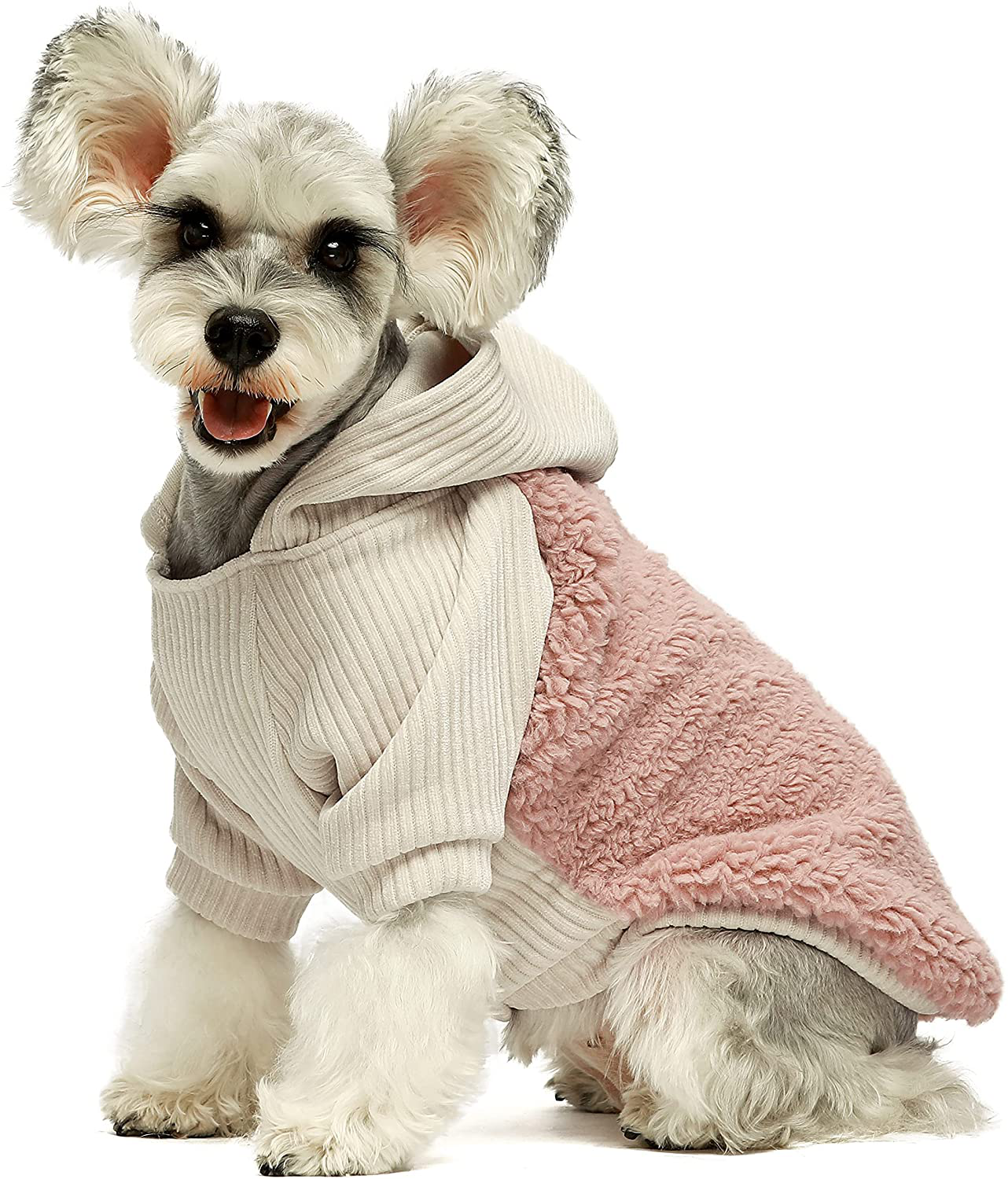 Fitwarm Velvet Thermal Dog Coat Puppy Winter Clothes Girl Pet Jacket Cat Hoodie Outfits Pullover Doggie Sweatshirt