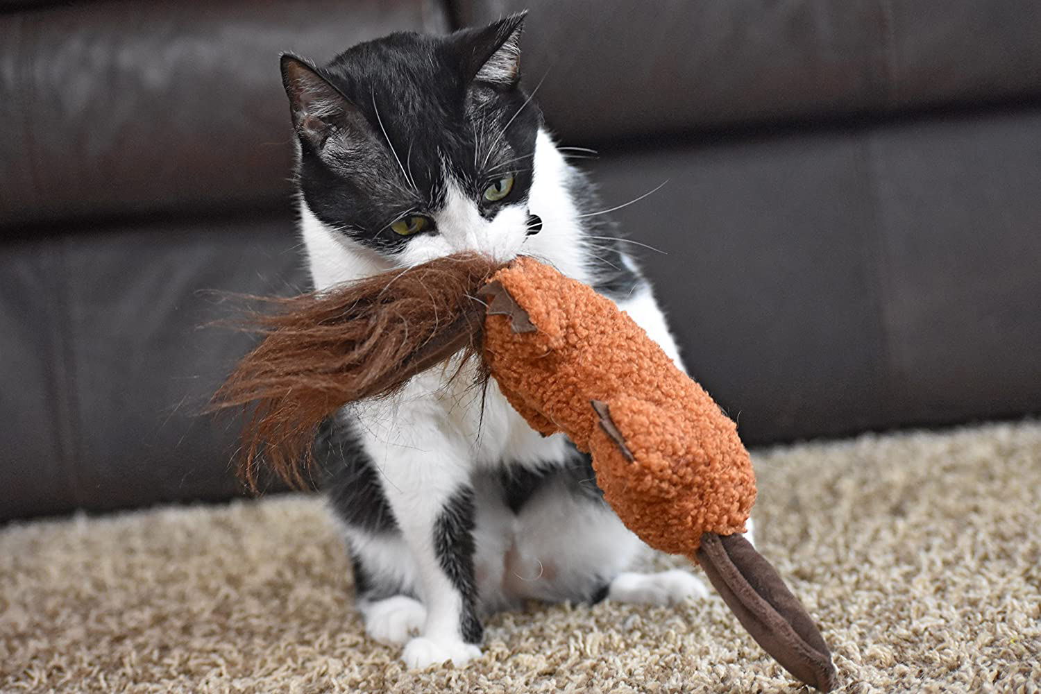 Our Pets SNAG-ABLES Platypus Cat Kicker Cat Toys (Ideal Cat Toys for Indoor Cats for Play & Grooming Nails Just like Cat Scratchers) Great Cat Plush Interactive Cat Toy, Cat Gifts, and Catnip Toys Animals & Pet Supplies > Pet Supplies > Cat Supplies > Cat Toys Our Pets   