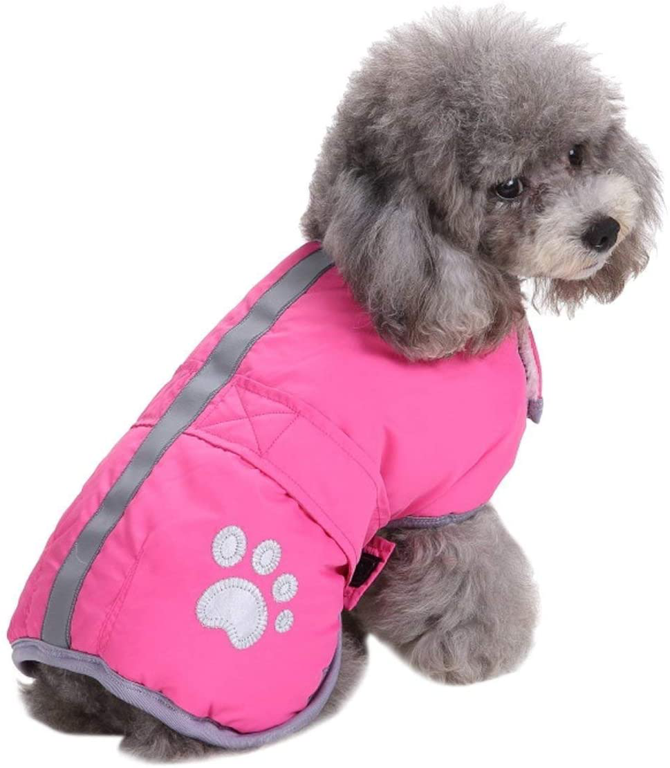 Queenmore Cold Weather Dog Coats Loft Reversible Winter Fleece Dog Vest Waterproof Pet Jacket Available in Extra Small, Small, Medium, Large Extra Large Sizes Animals & Pet Supplies > Pet Supplies > Dog Supplies > Dog Apparel Queenmore Pink XX-Large 