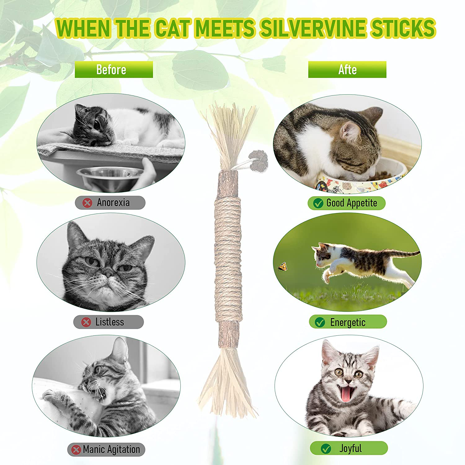 BAWAN Catnip Toys‖ Silvervine for Cats: Cute Cat & Kitten Toys for Indoor Cats Interactive‖ Cat & Kitten Teething Chew Toys for Aggressive Chewers‖ Silvervine Sticks Cat Dental Toy Animals & Pet Supplies > Pet Supplies > Cat Supplies > Cat Toys BAWAN   