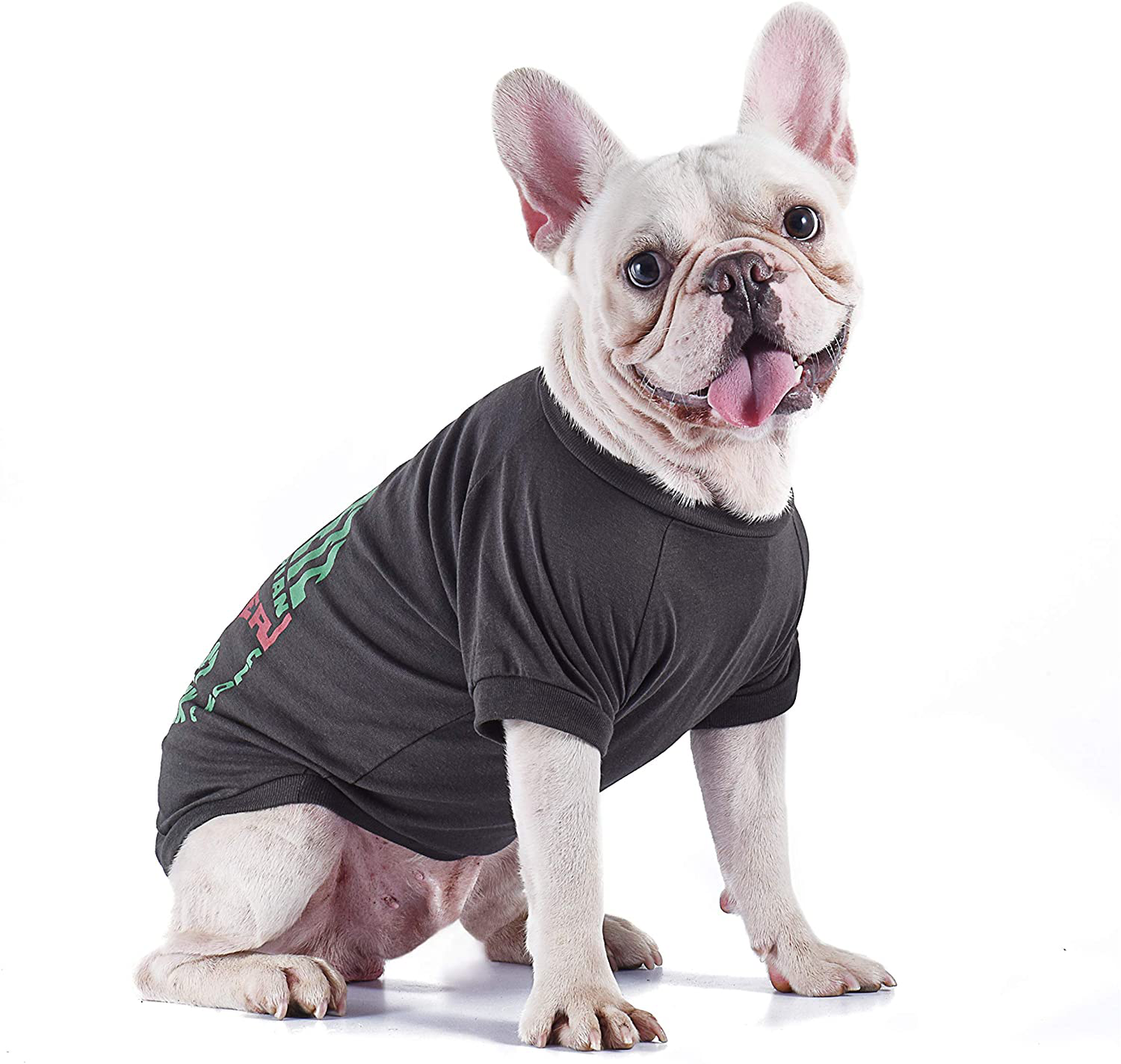 Star Wars for Pets Boba Fett Dog Tee | Star Wars Dog Shirt for Small Dogs | Size Small | Soft, Cute, and Comfortable Dog Clothing and Apparel, Available in Multiple Sizes Animals & Pet Supplies > Pet Supplies > Cat Supplies > Cat Apparel Fetch for Pets   
