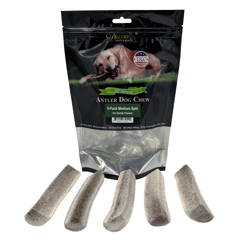 Deluxe Naturals Elk Antler Dog Chew 6-Pack, Medium Split Antlers Animals & Pet Supplies > Pet Supplies > Dog Supplies > Dog Toys Deluxe Naturals Split M 5