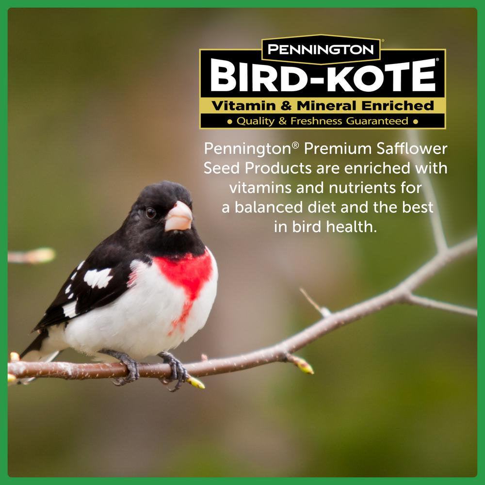 Premium 7 Lbs. Safflower Bird Seed Bird Food Animals & Pet Supplies > Pet Supplies > Bird Supplies > Bird Food Pennington   