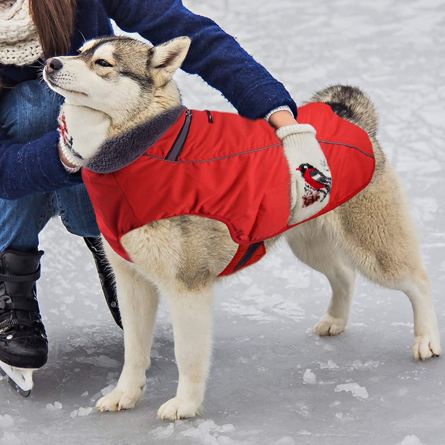 Dog Cold Weather Coats Dog Apparel for Warm Dog Jacket Reflective Waterproof Windproof Dog Vest Winter Coat Warm for Small Medium Large Dogs Sweaters Clothes Easy Put on and off （L-3XL） Animals & Pet Supplies > Pet Supplies > Dog Supplies > Dog Apparel Seicipet   