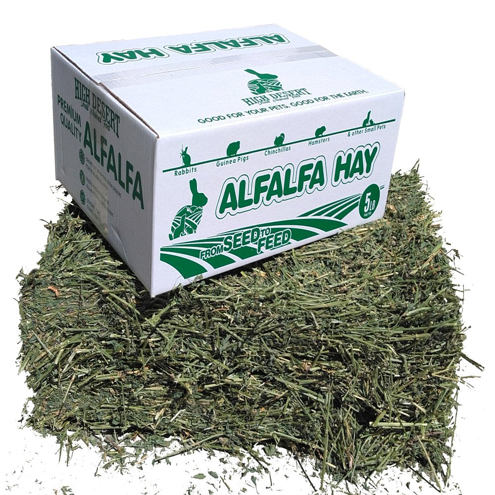 High Desert Alfalfa Hay - Dried Natural Alfalfa Hay for Rabbits, Guinea Pigs, Chinchillas, and Ferrets - Protein and Fiber Rich Food for Small Animals - Healthy Pet Food Animals & Pet Supplies > Pet Supplies > Small Animal Supplies > Small Animal Food High Desert Small Animal Feed   