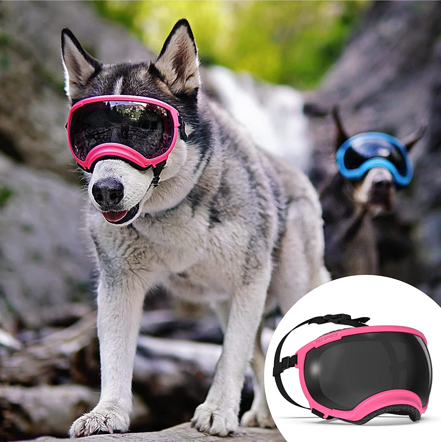 Rex Specs V2 Dog Goggles (Large, Tazer Teal) Animals & Pet Supplies > Pet Supplies > Dog Supplies > Dog Apparel Rex Specs Neon Pink Small 