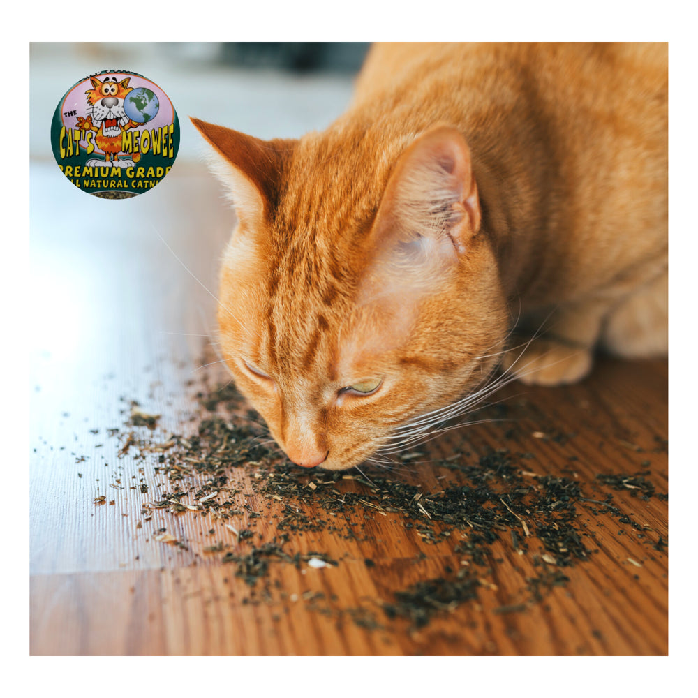 Cats Meowee Premium Grade All Natural Organic World'S Strongest Catnip Use with Toys Scratchers Bedding Dry Cat Treats, 0.352 Oz - Pack of 2 Animals & Pet Supplies > Pet Supplies > Cat Supplies > Cat Treats NS   