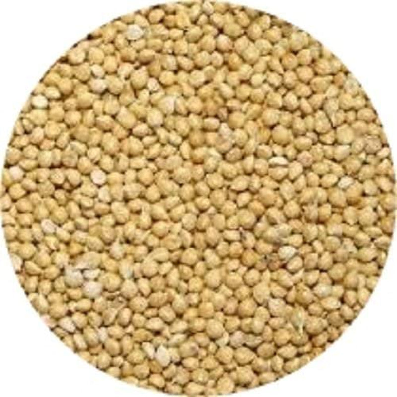 Back2Natural 48 Lb White Proso Millet Wild Bird Food Animals & Pet Supplies > Pet Supplies > Bird Supplies > Bird Food Wagner's   