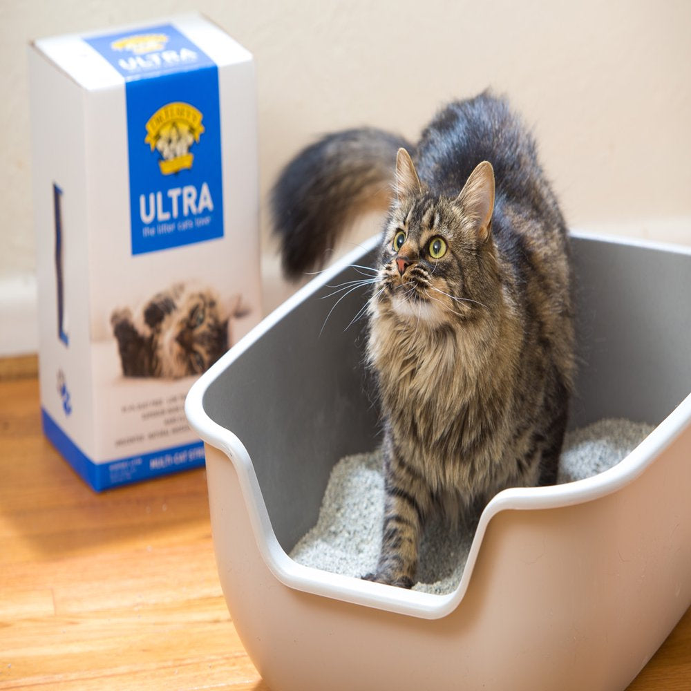Dr. Elsey'S Ultra Unscented Clumping Clay Cat Litter, 18 Lb Bag Animals & Pet Supplies > Pet Supplies > Cat Supplies > Cat Litter Precious Cat   