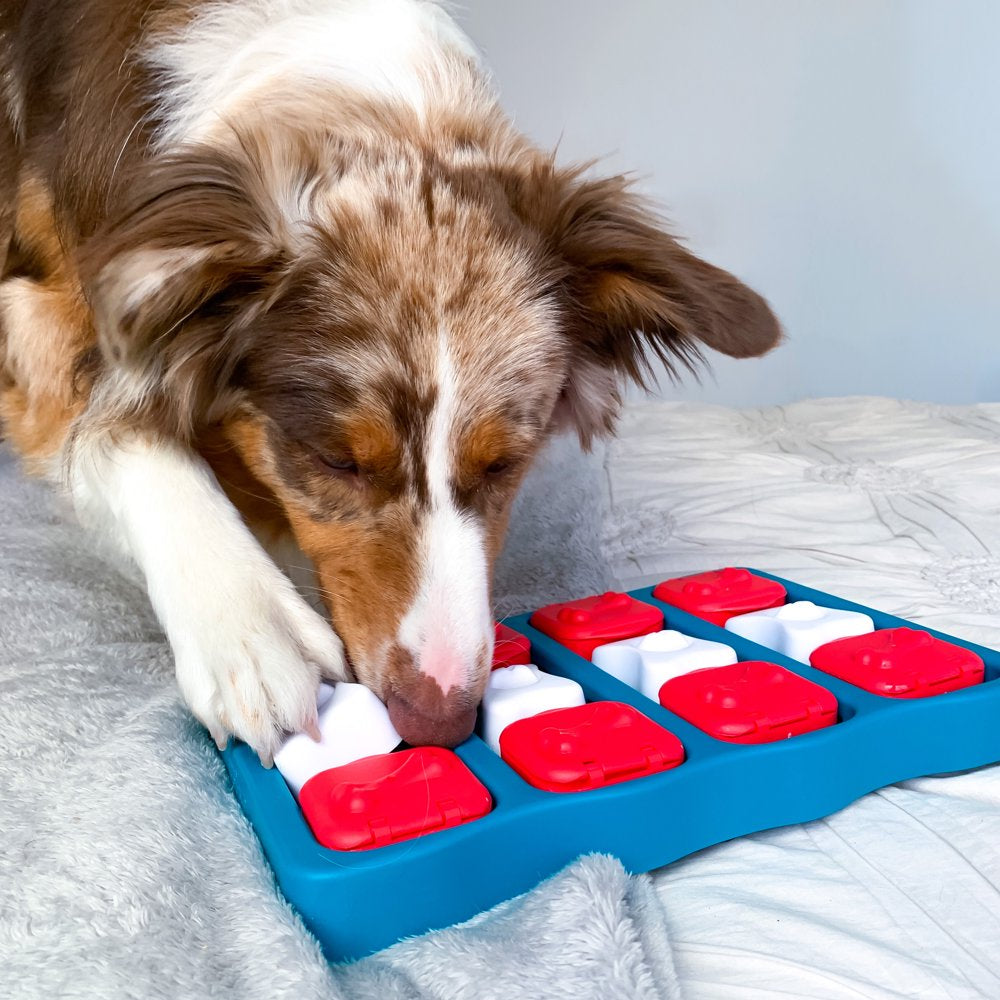 Outward Hound Nina Dog Brick Interactive Treat Puzzle Dog Toy, Blue, One-Size Animals & Pet Supplies > Pet Supplies > Dog Supplies > Dog Toys Outward Hound Holdings   