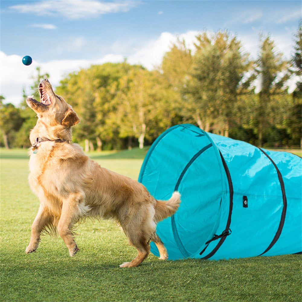 Pefilos 18' Cat Tunnels for Indoor Cats Agility Training Tunnel Pet Dog Play Cat Tunnel for Big Cats Outdoor Obedience Exercise Equipment Cat Tunnel for Cats, Blue Animals & Pet Supplies > Pet Supplies > Dog Supplies > Dog Treadmills Pefilos   