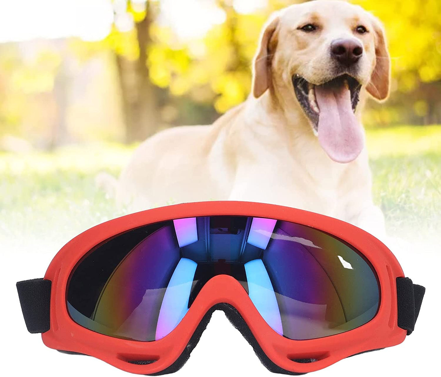 Dog Goggles, Dog Sunglasses, UV Protection, Windproof, Summer Outdoor Sun Protection, Eye Protection, Large Dogs(White) Animals & Pet Supplies > Pet Supplies > Dog Supplies > Dog Apparel MWDOCTOY red  