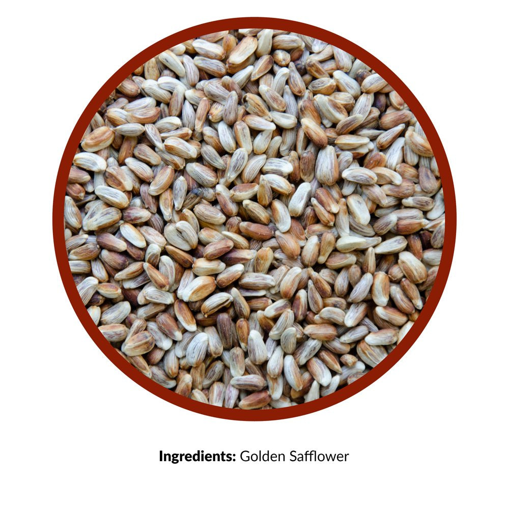 Lyric Golden Safflower Wild Bird Seed - Attracts Woodpeckers, Cardinals & Chickadees - 5 Lb Bag