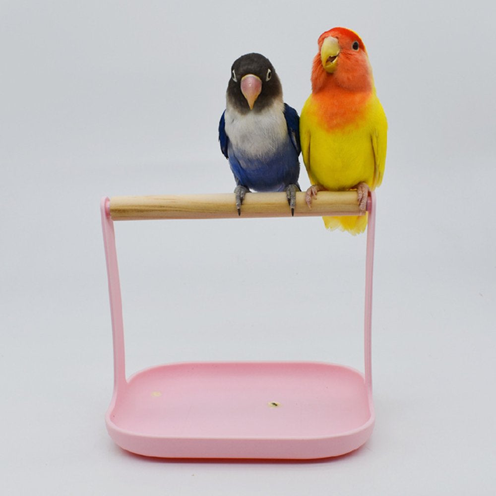 Bird Cage Stand Parrot Training Perch Stands Playstand Playground Play Gym for Conures Parakeets Lovebirds Cockatiels Animals & Pet Supplies > Pet Supplies > Bird Supplies > Bird Gyms & Playstands JZROCKER   