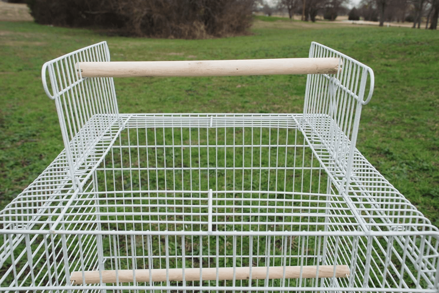 57" Rolling Standing Medium Dome Bird Cage Open Top Quaker Parrot Cockatiel Sun Parakeet Green-Cheek Conure Canary Lovebird Budgie Parrotlet Finch Cage with Detachable Stand Animals & Pet Supplies > Pet Supplies > Bird Supplies > Bird Cages & Stands Mcage   