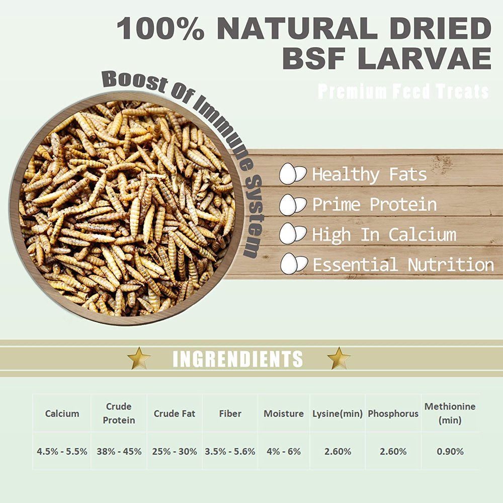 Black Soldier Fly Larvae 2 Lb - Dried Mealworms 2 Lbs - 100% Natural BSF Larvae - 85X More High Calcium Perfect for Chickens, Birds, Reptiles, Hedgehog, Geckos, Turtles Animals & Pet Supplies > Pet Supplies > Bird Supplies > Bird Treats Amzey   