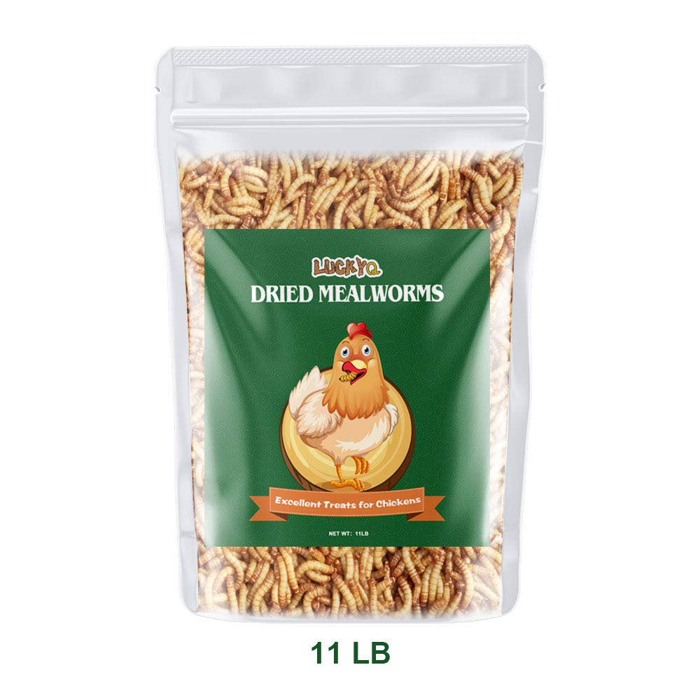 LUCKYQ Dried Mealworms 11Lb,High-Protein Bulk Mealworms for Birds, Chickens, Turtles, Fish, Hamsters, and Hedgehogs, Non-Gmo and Chemical Free, All Natural Animal Feed Animals & Pet Supplies > Pet Supplies > Small Animal Supplies > Small Animal Food LUCKYQ   