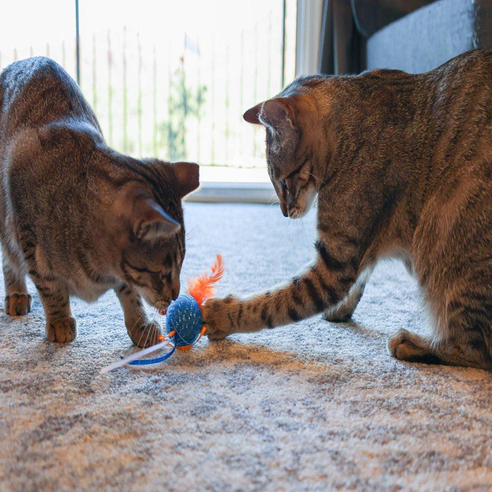 Vibrant Life Mesh Feather Ball Cat Toy, Color May Vary Animals & Pet Supplies > Pet Supplies > Cat Supplies > Cat Toys Multipet   