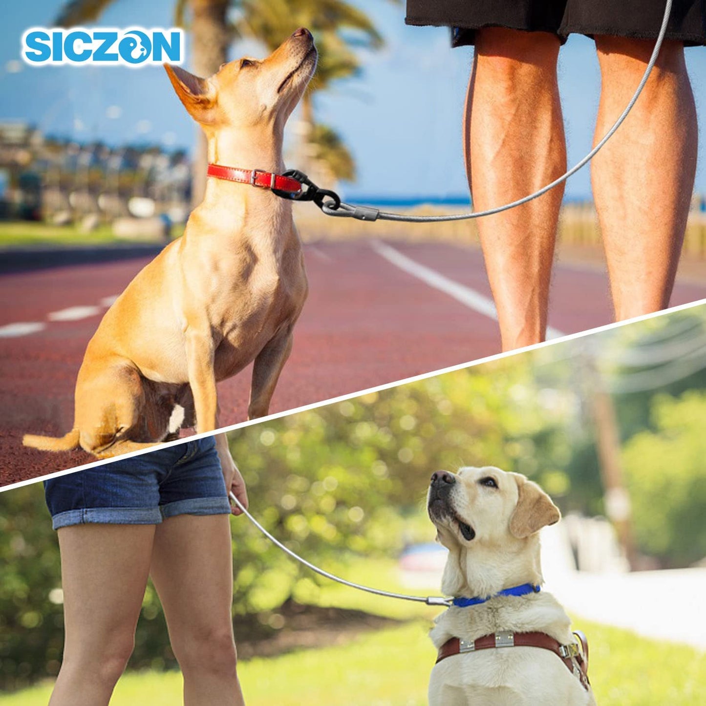 SICZON Dog Tie Out Cable for Pooches Runner up to 250 Lbs, 10FT Dog Cbale, Durable Heavy Duty Dog Chain Lead Tether and Superior Clips Swivel Hook, Dog Leads for Yard outside Garden Camping Outdoor Animals & Pet Supplies > Pet Supplies > Dog Supplies > Dog Apparel SICZON   