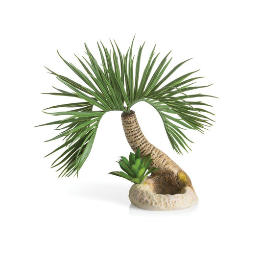 Biorb Seychelles Palm Tree Sculpture Aquarium Decor, Medium Animals & Pet Supplies > Pet Supplies > Fish Supplies > Aquarium Decor biOrb   